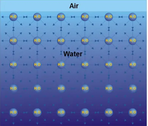 Figure 1.1 Interaction between water molecules at the air-water interface causes surface tension