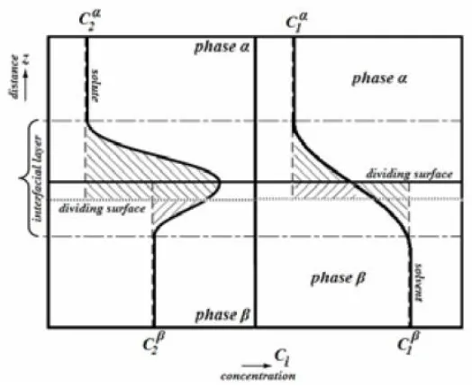 Figure 1.2 Definition of surface excess. 