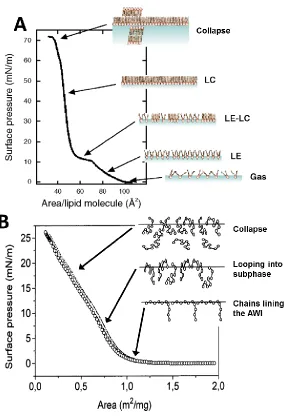 Figure 1.3 Comparison of π-A isotherms of lipid and protein at the AWI. 