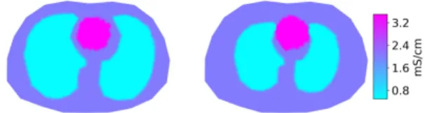 Fig. 3. Two example images of the thorax in the end-inspiration phase and the end-expiration phase with the presence of heart in the background, leading to non-homogeneous background.
