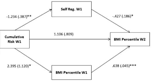 FIGURE 2Unstandardized path coef***ﬁcients and ﬁt statistics for ﬁnal trimmed path model