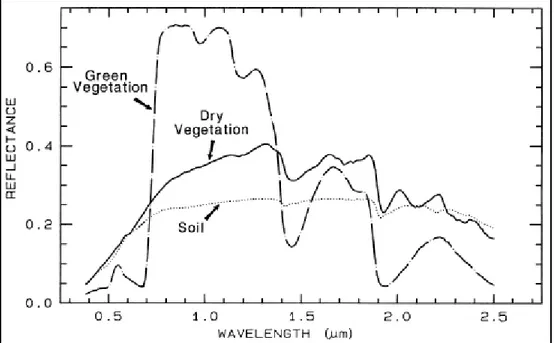 Figure  7: The spectral reflectance curve of green and dry vegetation and soil along  with the spectral wavelength  (Clarck et al.1999)