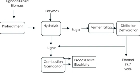 Figure 6. Simple block scheme of production of lignocellulosic biomass conversion to ethanol