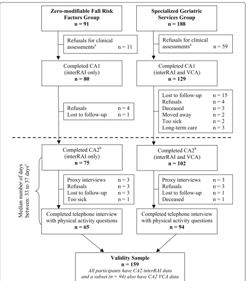 Figure 1 Formation of validity sample from the Project to Prevent Falls in Veteransas possible