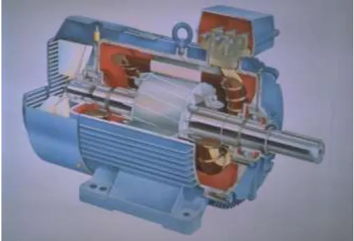 Fig -1: Cut set model of induction motor 