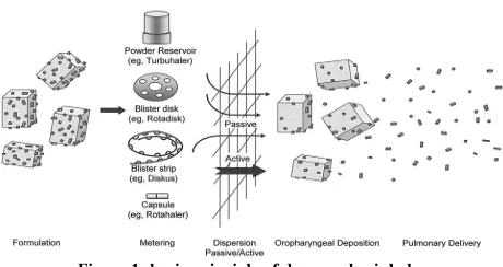 Figure 1: basic principle of dry powder inhaler 