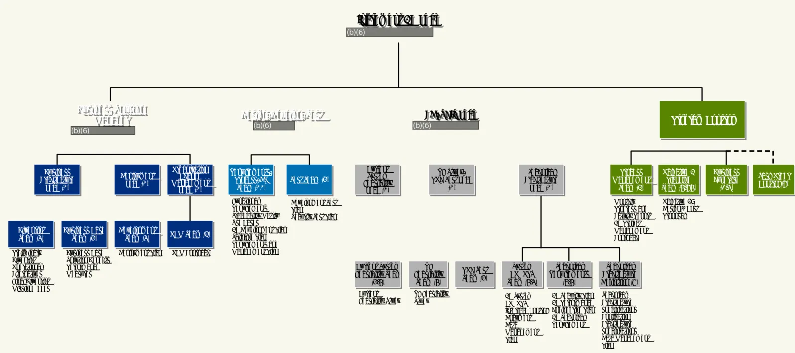 Figure 6-1. Organizational Structure (b)(6)