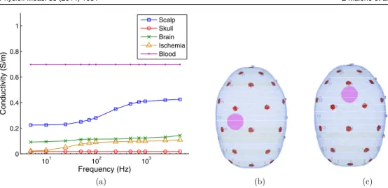 Figure 1. Model: (a) conductivity spectra of tissues in the head, view from the top of (b) lateral stroke position and (c) posterior stroke position.