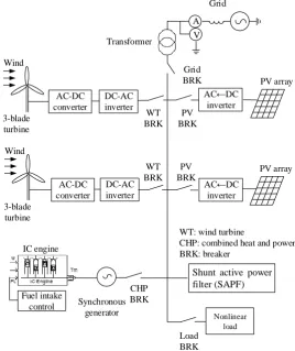 Figure 1. Schematic diagram of a distributed generation system 