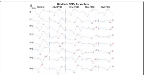 Fig. 3 Mean SEP waveforms recorded during hindlimb stimulation in the five groups over 6 weeks from the Cz-Fz