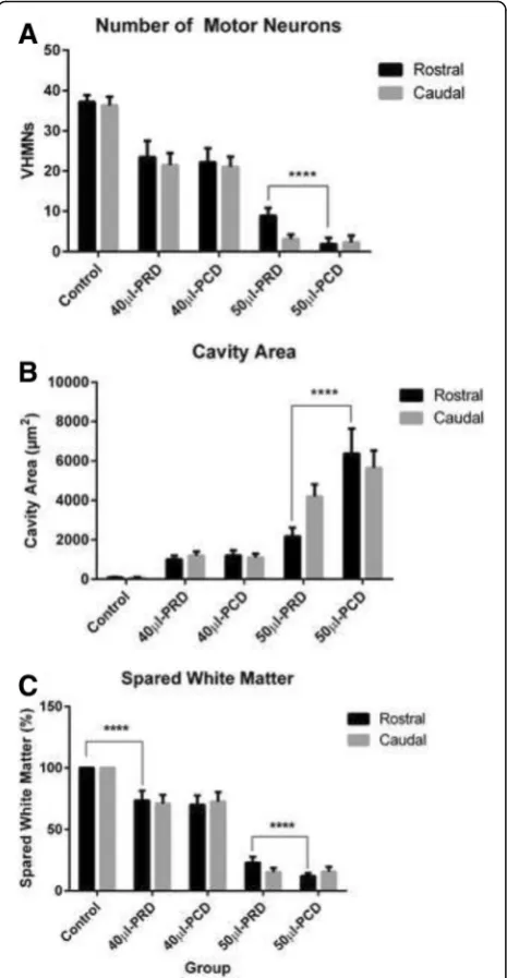 Fig. 7 Bar graphs indicate differences in the number of VHMNs(a), the size of the cavity area (b) and the degree of white mattersparring (c) in the spinal cord in the control, 40-μl PRD, 40-μl PCD, 50-μlPRD and 50-μl PCD groups