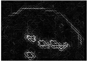 Fig. 7. Input Image Fig. 8. HOG Features