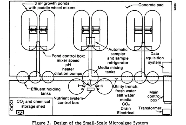 Figure 3. Design of the Small-Scale Microalgae System