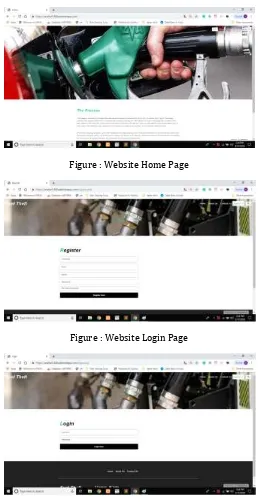Figure : Website Home Page 