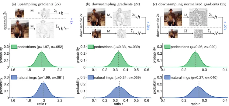 Fig. 1. Behavior of gradient histograms in images resampled by a factor of two. (a) Upsampling gradients: Given images I and I 0 where I 0 denotes I upsampled by two, and corresponding gradient magnitude images M and M 0 , the ratio ΣM/ΣM 0 should be appro