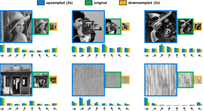 Fig. 2. Approximating gradient histograms in images resampled by a factor of two. For each image set, we take the original image (green border) and generate an upsampled (blue) and downsampled (orange) version