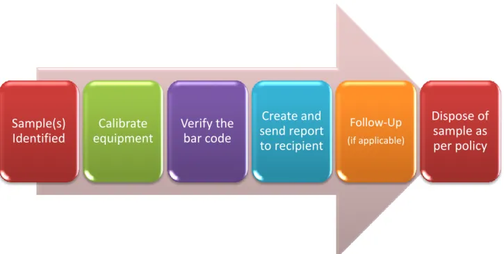 Figure 1: Basic Verification Process Flow 