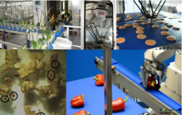 Figure 1: Examples of industrial object categorization ap- ap-plications: robot picking and object counting of  natu-ral products