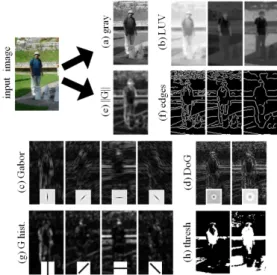 Figure 3: Example of different image channels used in the integral channel features approach of (Doll´ar et al., 2009).