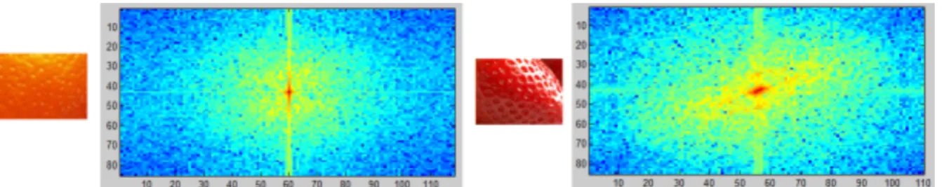 Figure 4: Texture variation based on the Fourier powerspectrum of an orange and a strawberry.