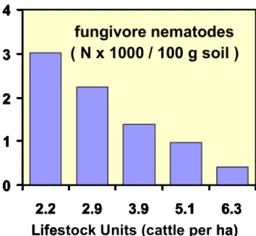 Figure 8. Decrease in fungal-feeding nematodes  