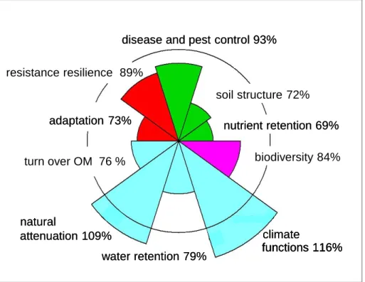 Figure 9. Amoeba chart for the Hoeksche Waard 