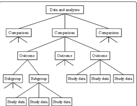 Figure 1 Illustration of the hierarchy of a ‘Data and analyses’section of a Cochrane review
