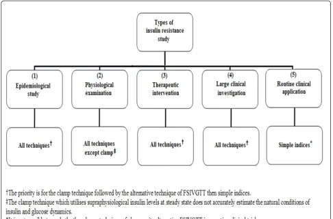 Figure 1 Different types of insulin resistance studies.