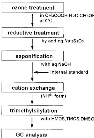 Fig. 1. Formation of two tetronic acids from side chains of arylglycerol- fl-aryl ether structures by ozonation 