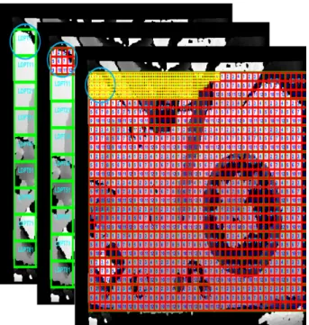 Fig. 3. The hierarchy of cells (smallest), depth patterns (intermediate;