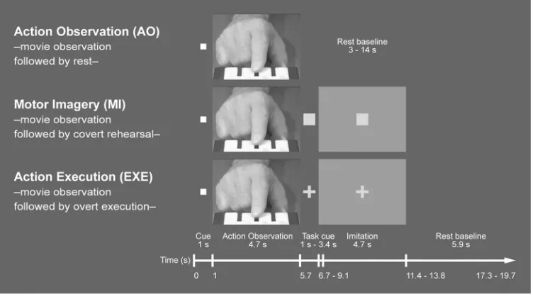 Figure 1. Experimental design. Participants were tested on practised as well as non-practised patterns of For Peer Reviewobservation followed by rest), Motor Imagery (MI: video observation followed by motor imagery), and Action subsequent task instruction