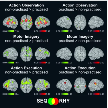 Figure 4. Practice effects. Activation differences between non-practised and practised patterns, separately For Peer Reviewrhythms (RHY: red)