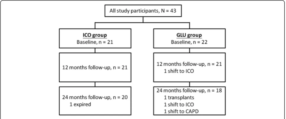 Fig. 1 Flowchart of patient selection and follow-up status