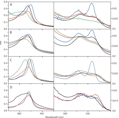 Figure 3.6: UV-Visible spectra at -15°C at 5 µM protein with 2 hemes bound in 25 mM sodium phosphate pH8, 30% ethylene glycol