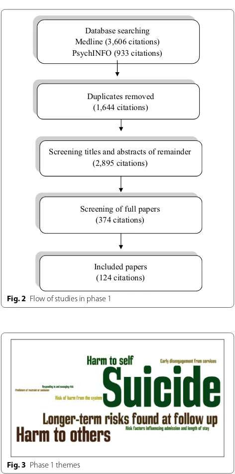 Fig. 2 Flow of studies in phase 1