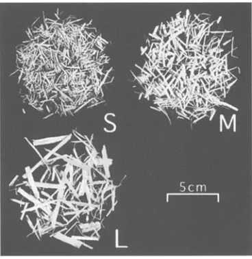 Fig. 1. Three types of particles prepared by hammer-milling hinoki strands. S, +6.5 mesh; M, -6.5 + t0.0 mesh; L, -10 mesh 