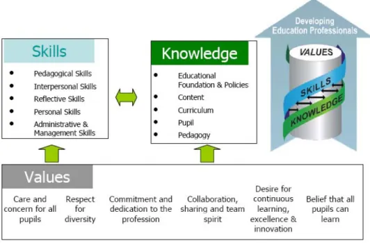 Figure 1  NIE’s VSK framework (see online version for colours) 