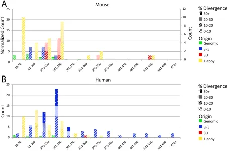 Figure 4.4 − Characteristics of interstitial telomere sequences in the mouse (A) and human (B) genome