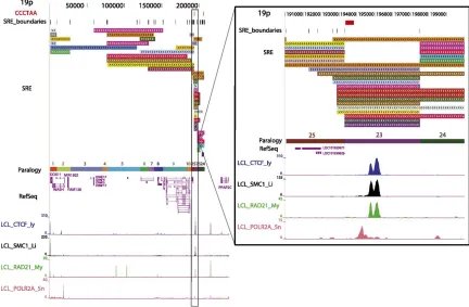 Figure   3.2      Subtelomere   annotation   features−. The first 250 kb of the 19p subtelomere assembly is shown to illustrate key features of subtelomere sequence organization annotated on our browser