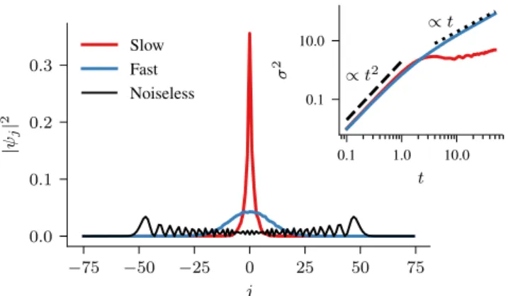 Fig. 2: Probability distribution of the walker at t = 50 for slow (γ = 0.01, red) and fast (γ = 1, blue) noise