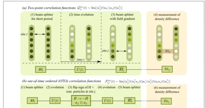 Figure 10. Probing dynamical correlation functions through the local interference of two many-body states