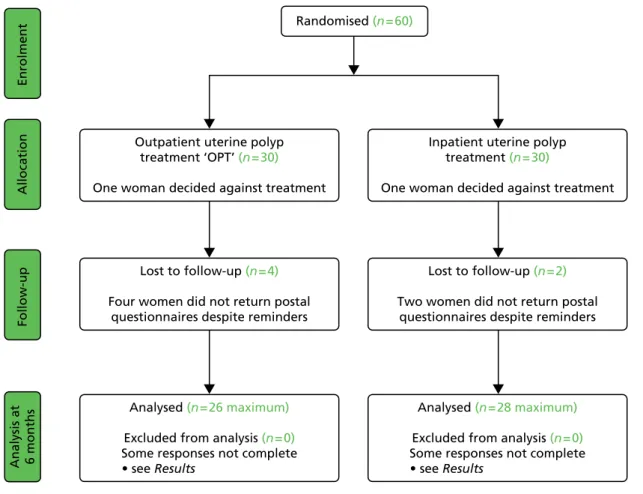 FIGURE 4 Pilot OPT Trial profile.
