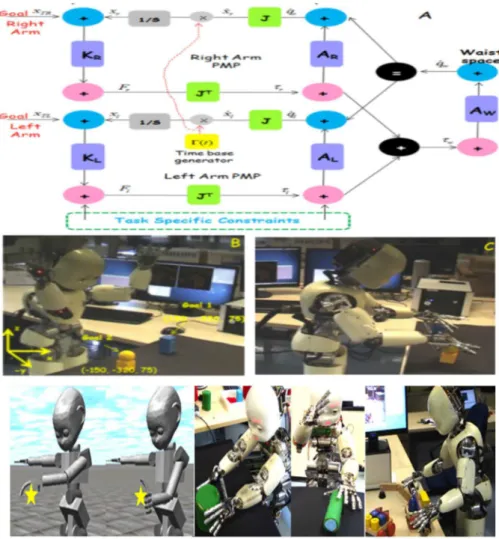 Figure 5. Top panel shows the PMP network for co-ordinating the upper body of iCub (left arm-torso-right arm chain)