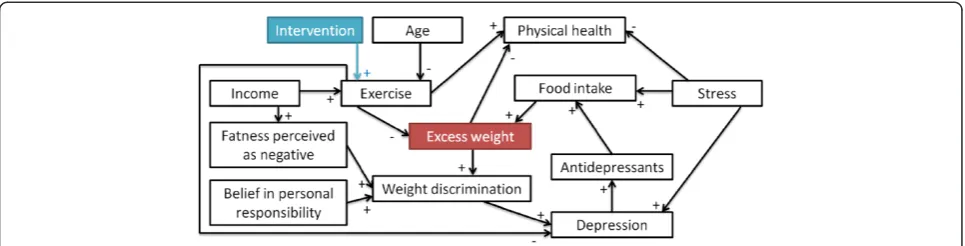 Figure 6 Design of intervention 2. Relationships considered for the intervention on exercise.