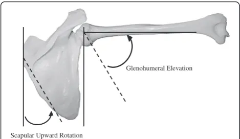 Fig. 1 The scapulohumeral rhythm was determined by calculatingthe ratio of glenohumeral elevation and scapular upward rotation