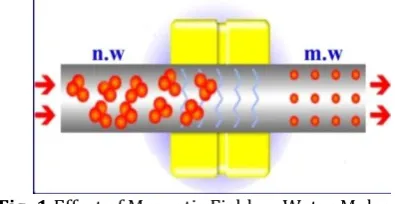 Fig -1 :Effect of Magnetic Field on Water Molecules The structure of water is aligned in one direction 