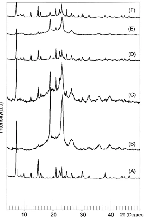 Fig. 6. X-ray powder diffraction: (A) sulfasalazine powder, (B) HP-β-CD, (C) physical mixture, (D) solid dispersion prepared by the solvent-evaporation method, (E) solid dispersion prepared by the solvent-wetting method and (F) solid dispersion prepared by