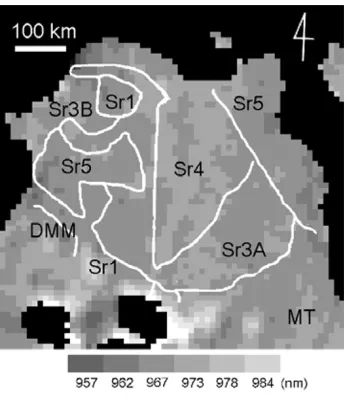 Fig. 9. The absorption-peak image with geological boundaries based onKodama and Yamaguchi (2003)
