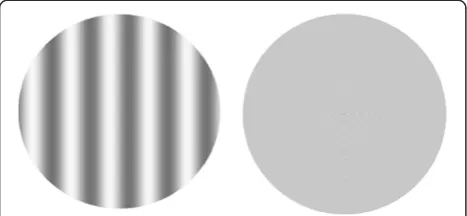 Figure 1 Example of a pair of stimuli. On the left, a sine-wavegrating with the spatial frequency of 0.6 cpd, and on the right, aneutral stimulus