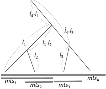Fig. 8. Relation between four branches